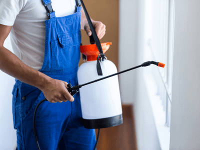 About Dandenong Ranges Pest - pest control experts in Dandenong Ranges, Melbourne
