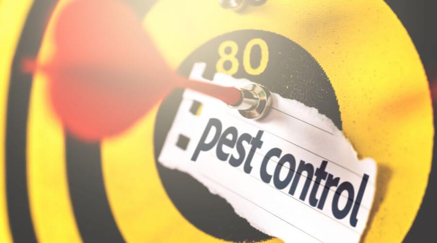 Professional pest control services in Dandenong Ranges, Melbourne